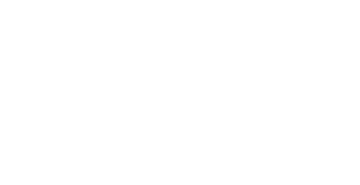 Bridge Point Business & Real Estate Advisors