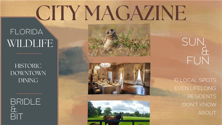 Magazine/Media Business
