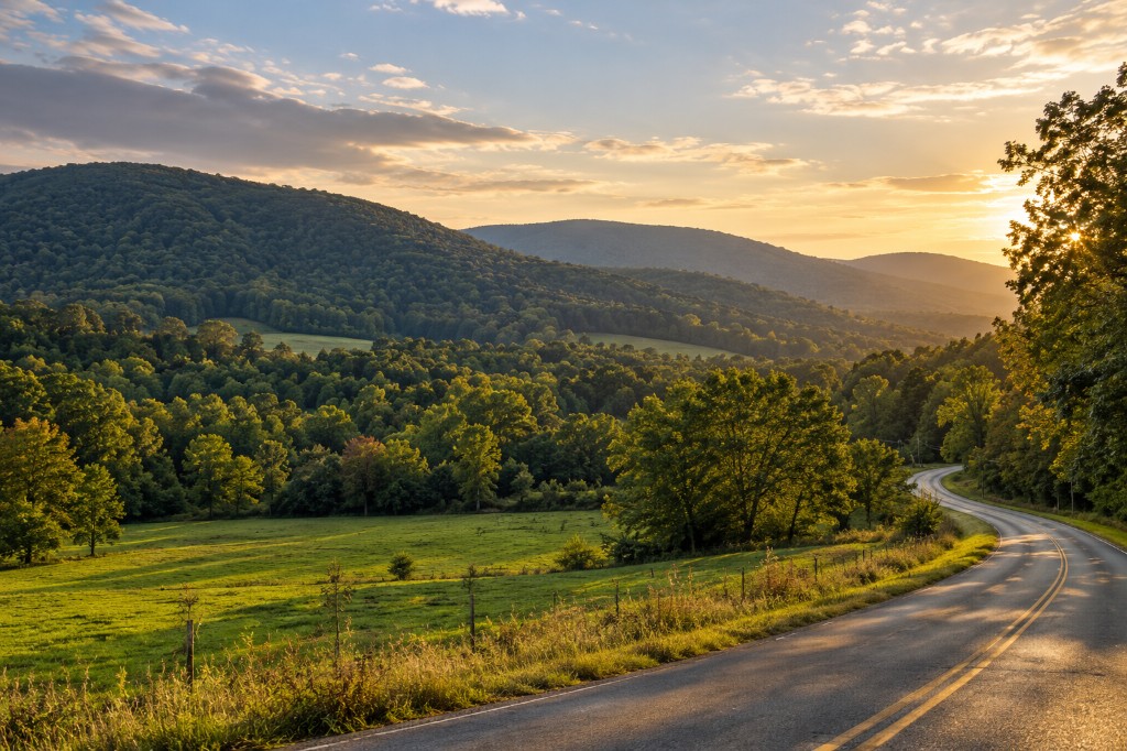Winding road through hills at sunset, consultation call-to-action for Daphne business owners