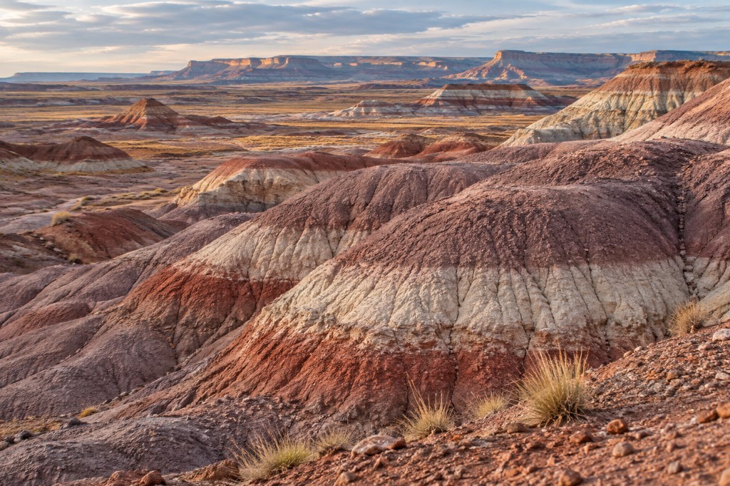 Painted Desert banded mesas and arid grasslands under a pale Arizona sky